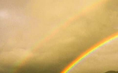 初一作文:心中的彩虹(精選42篇)