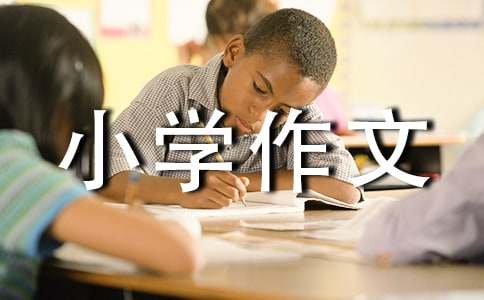 游靈芝洞小學作文300字(精選5篇)