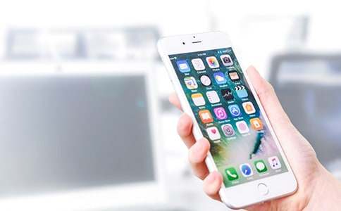 手機我恨你作文800字(精選20篇)