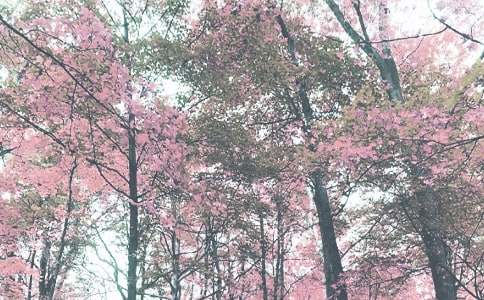 走進秋季小學(xué)作文(精選25篇)