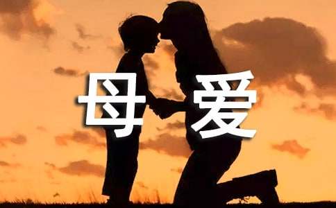 關(guān)于母愛(ài)伴我成長(zhǎng)作文800字（精選5篇）