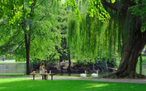 南湖公園游記作文(通用23篇)