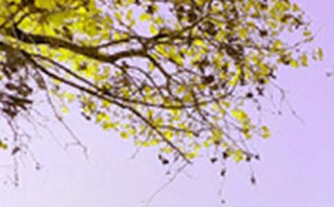 【精選】景色的作文300字6篇