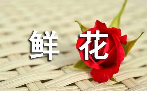 鮮花盛開了改為擬人句精選