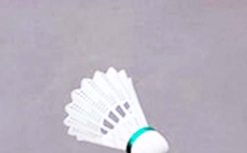 學(xué)打羽毛球作文300字