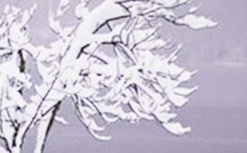 假如我是一朵小雪花小學(xué)作文600字(精選18篇)