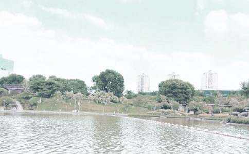 迷人的千燈湖作文八篇