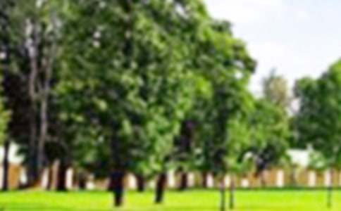 白塔公園作文(精選25篇)