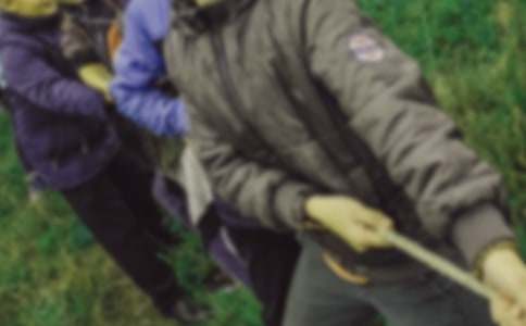 小學(xué)拔河作文