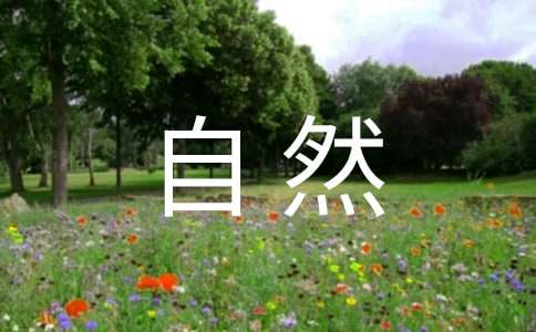 大自然的美麗作文900字（精選35篇）