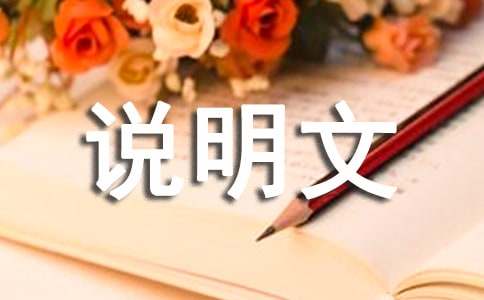 站在什么的門(mén)口說(shuō)明文（通用15篇）