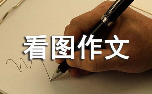 小學(xué)看圖作文：小鴨子得救了