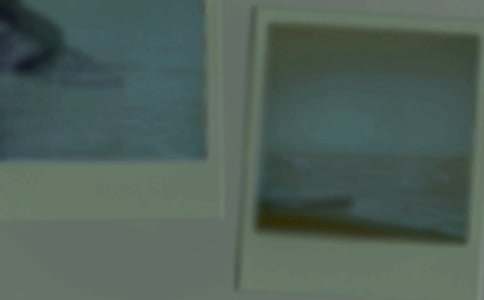 小學(xué)生一張舊照片的故事作文800字