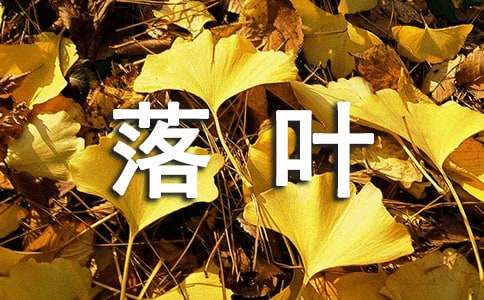 落葉小學(xué)生五年級優(yōu)秀作文（通用25篇）