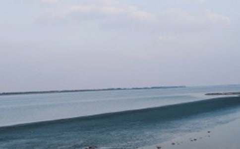 城南舊事之我們看海去讀書(shū)筆記