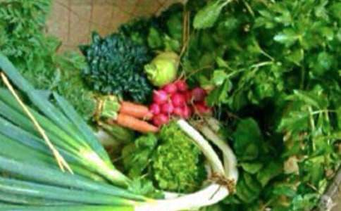 關(guān)于飲食健康的經(jīng)典諺語