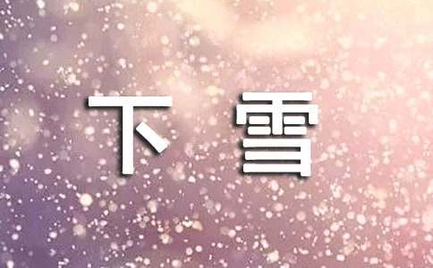一年級(jí)關(guān)于下雪了的作文「錦集」