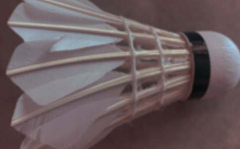 我的課余生活打羽毛球作文