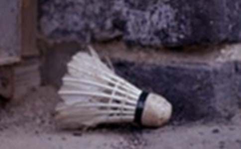 羽毛球協(xié)會工作計劃