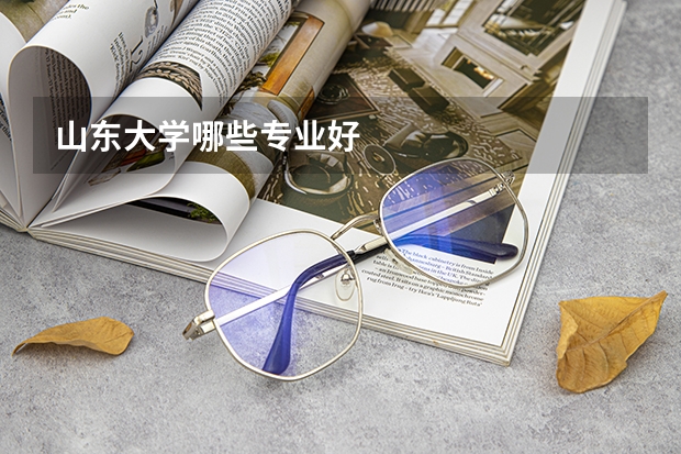 山東大學哪些專業(yè)好