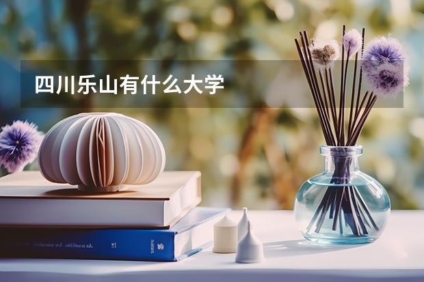 四川樂山有什么大學(xué)