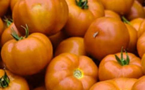 番茄太陽(yáng)教學(xué)設(shè)計(jì)