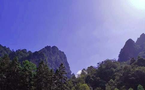 張家界森林公園游記作文