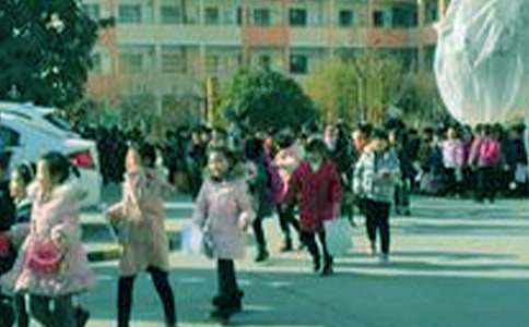 我難忘的小學(xué)生活作文