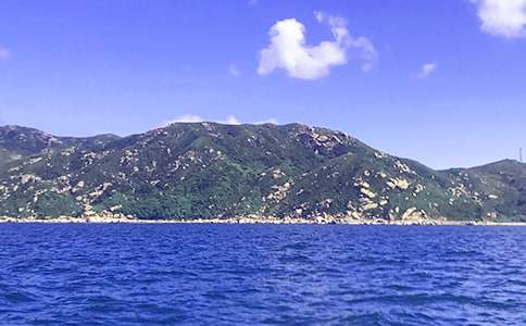 寫大海的二年級作文(通用3篇)