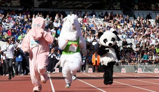 亞洲冬季運動會開幕式觀后感(通用5篇)