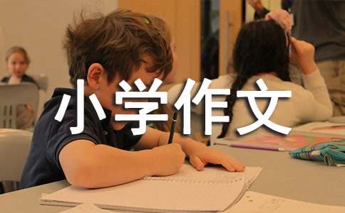 未來(lái)的小學(xué)作文15篇