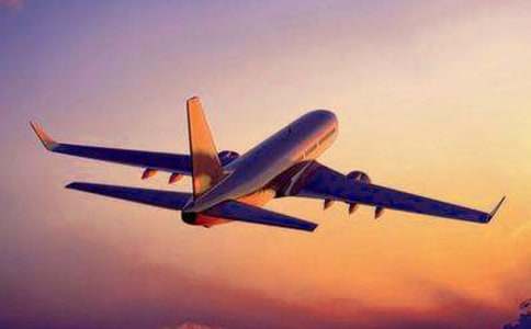 小學(xué)生第一次坐飛機(jī)的作文