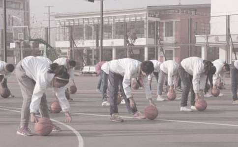 體育教學(xué)教師心得感想