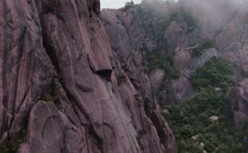 游黃山奇松作文500字