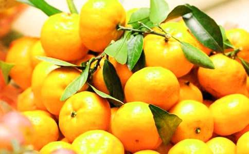 橘子說明文(精選15篇)