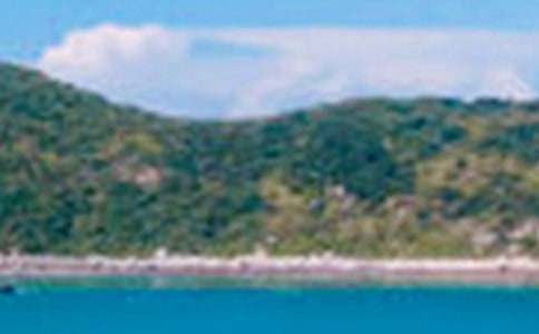 富春江景色的作文600字(精選35篇)