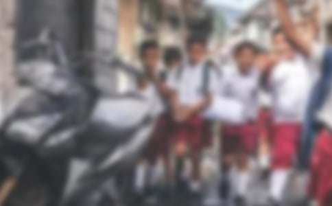 小學(xué)生作文看圖寫話過河