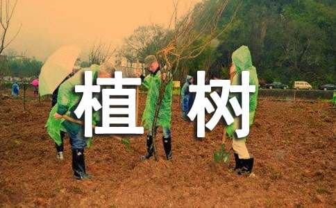 小學(xué)作文:看圖寫話――植樹