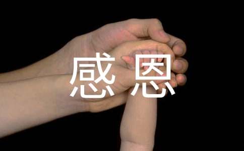 實用的初中感恩作文400字合集5篇