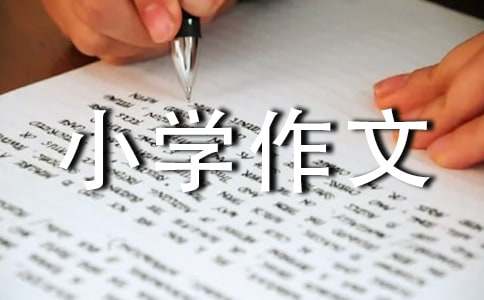 假文盲小學(xué)作文15篇（優(yōu)選）