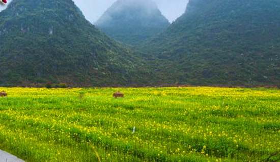 小學(xué)生春游的作文15篇[熱門]