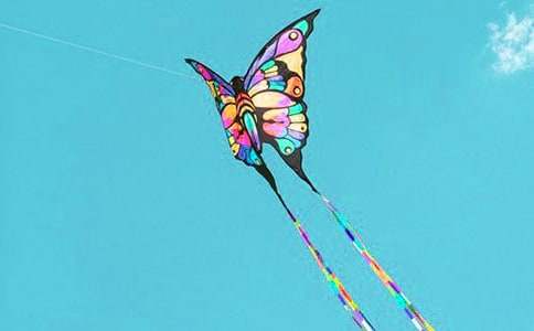 精選放風(fēng)箏的小學(xué)作文400字匯總五篇