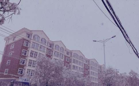 冬日暖陽作文700字