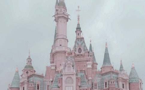 上海迪士尼小學(xué)作文六篇