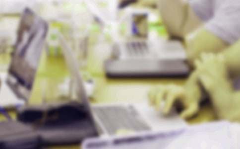 文員實習報告畢業(yè)生