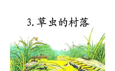 語文草蟲的村落教學(xué)反思