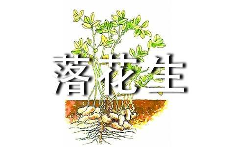 語文五年級上冊落花生教學(xué)反思