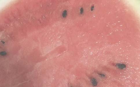 描寫夏日的作文（通用4篇）