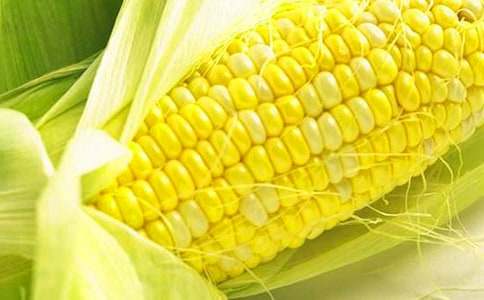 描寫玉米地的作文(通用25篇)