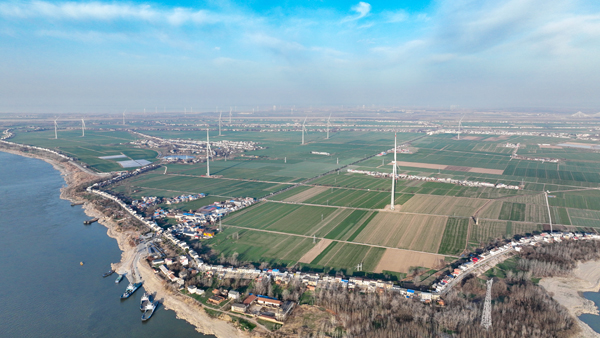 棉船島風(fēng)電項(xiàng)目全容量并網(wǎng)發(fā)電。受訪者供圖